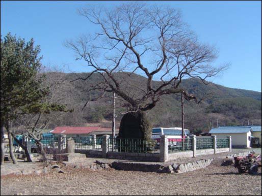 곽재우 장군이 북을 매달아 의병을 훈련시키던 현고수에서 성화채화가 시작된다 